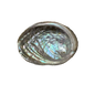 Abalone Shell Small