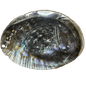 Abalone Shell Large