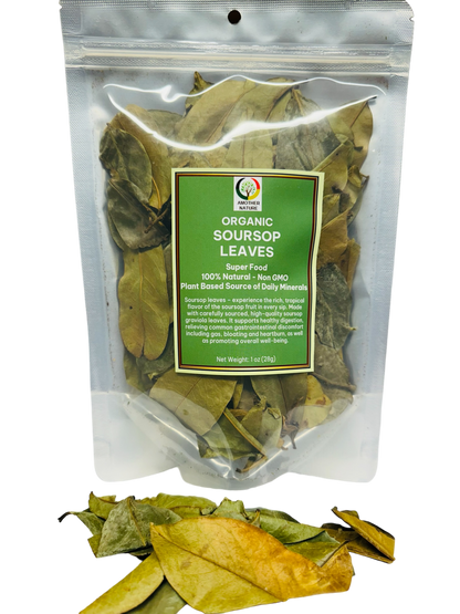 Soursop Leaves