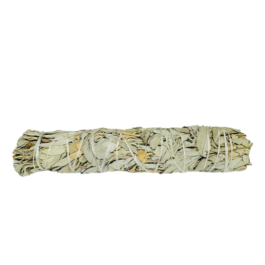 White Sage Smudge Large -(2 Pieces)